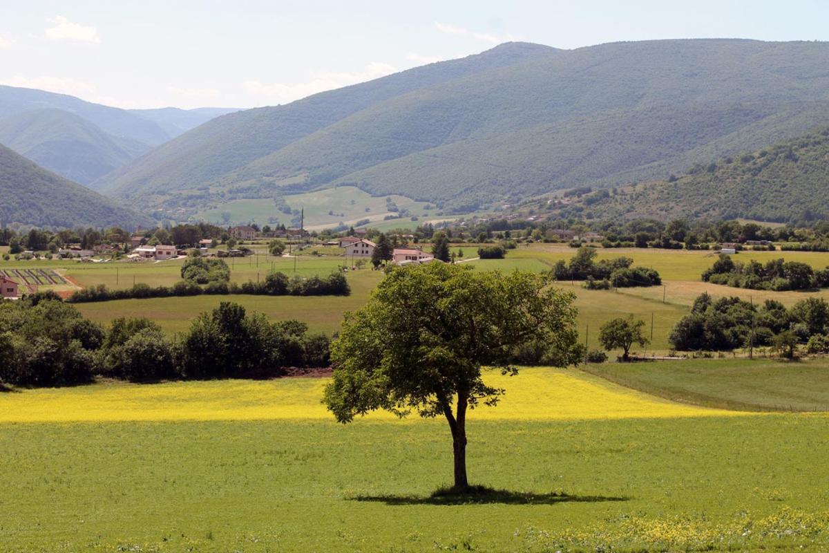 Agriturismo Il Casale Degli Amici Norcia Exteriör bild