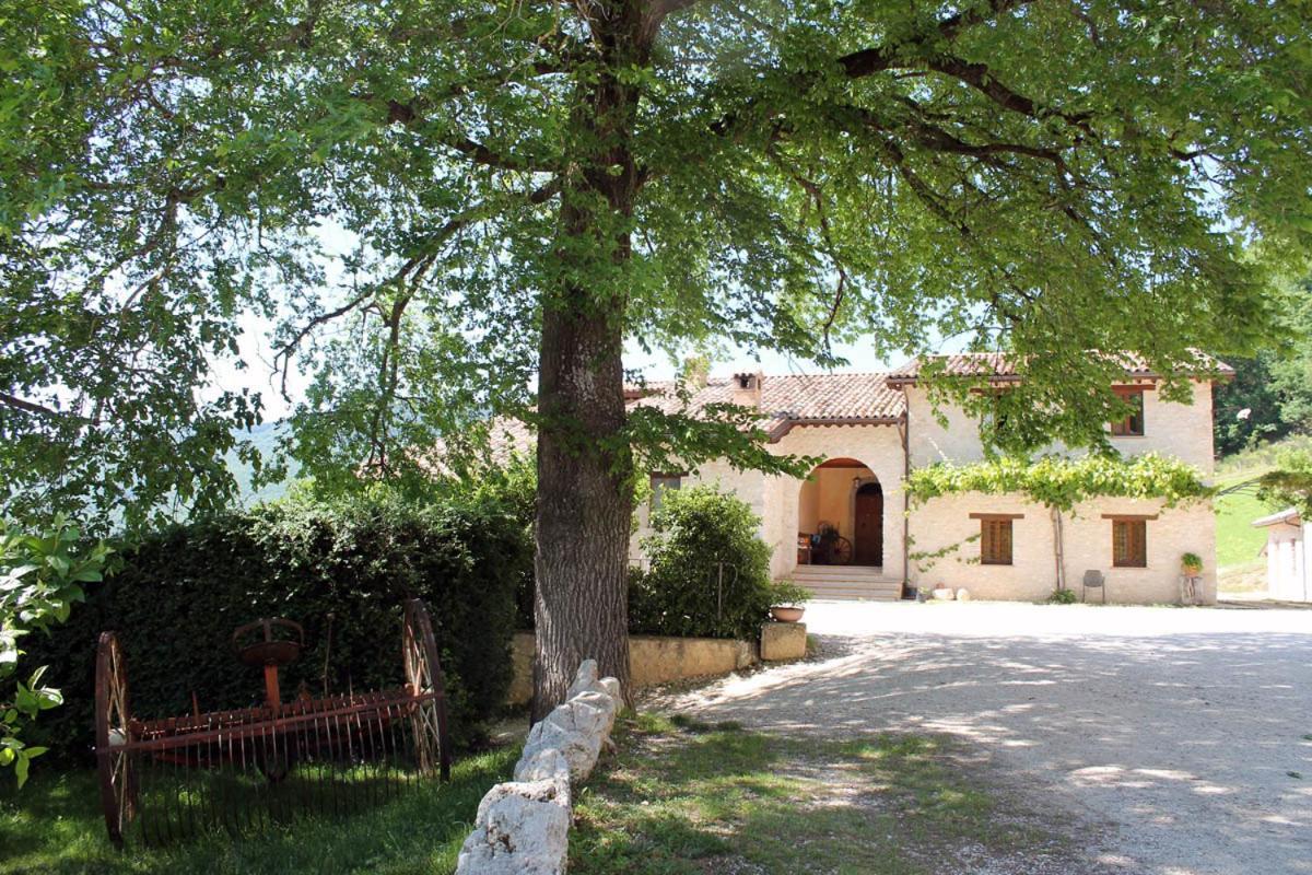 Agriturismo Il Casale Degli Amici Norcia Exteriör bild